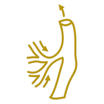 5 Non-Invasive Peripheral Vascular Services