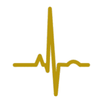 6 Electrophysiology